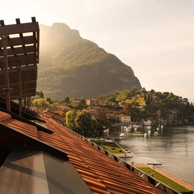 cover of the auction item