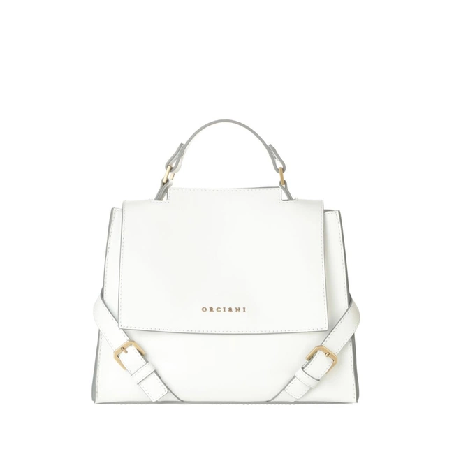 cover of the auction item