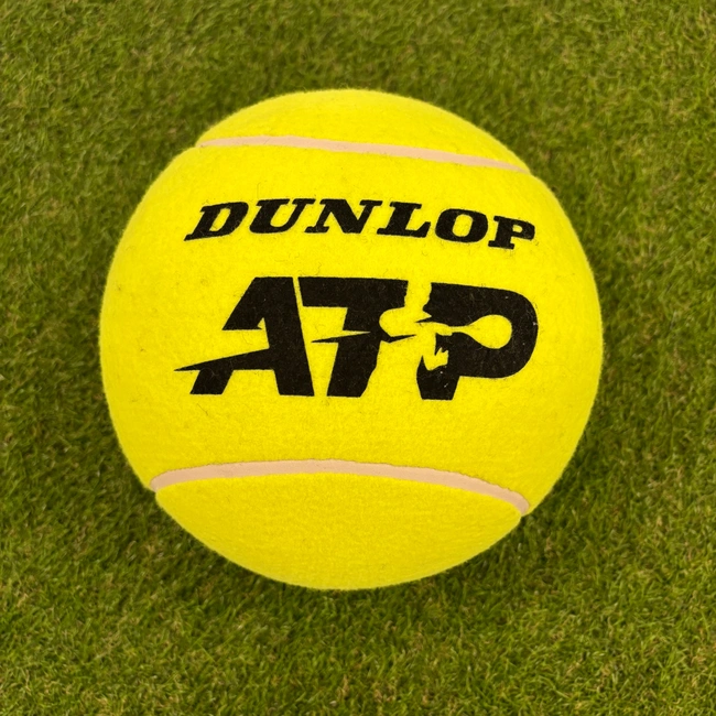 cover of the auction item