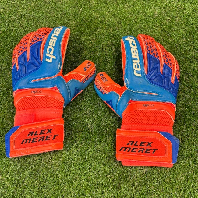 cover of the auction item