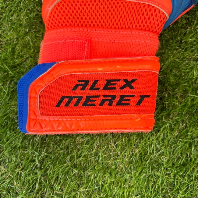 cover of the auction item