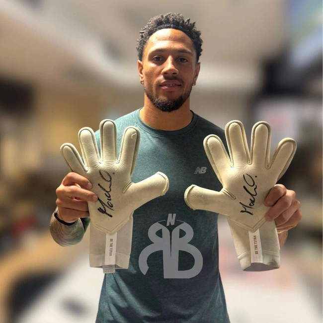 cover of the auction item