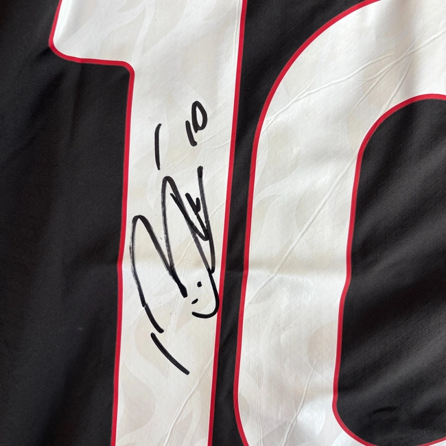 cover of the auction item
