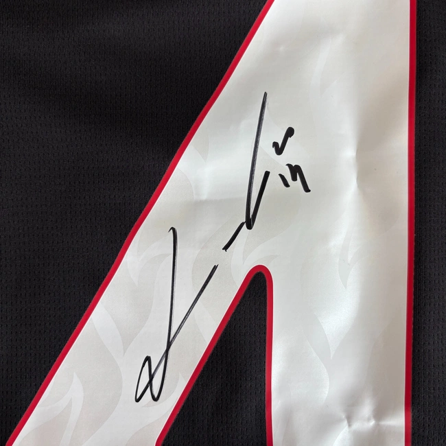 cover of the auction item