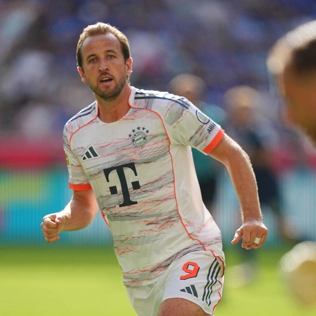 cover of the auction item