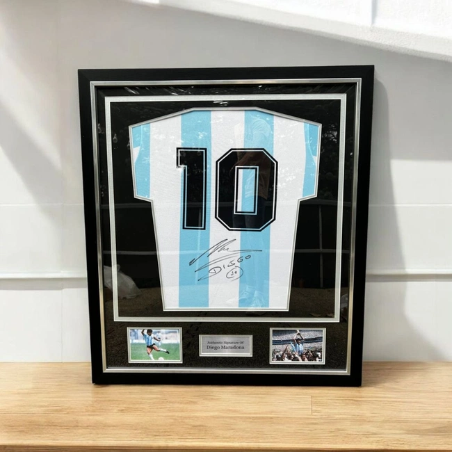 cover of the auction item