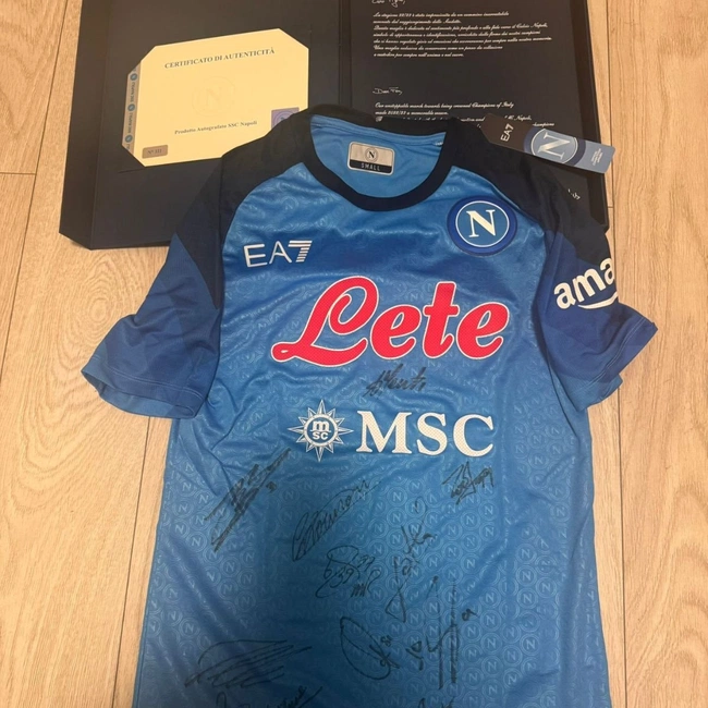 cover of the auction item