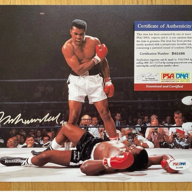 cover of the auction item