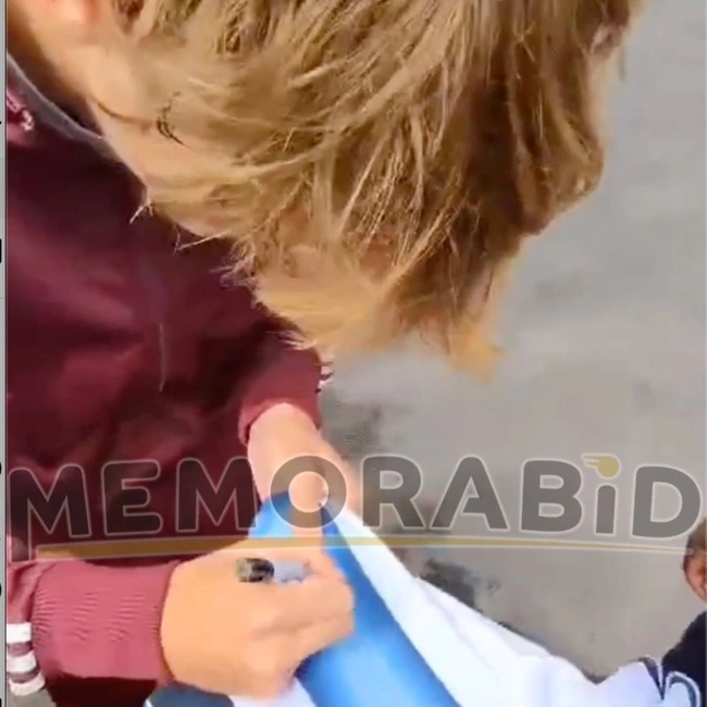 cover of the auction item