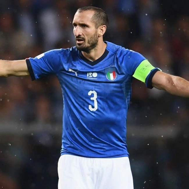 cover of the auction item