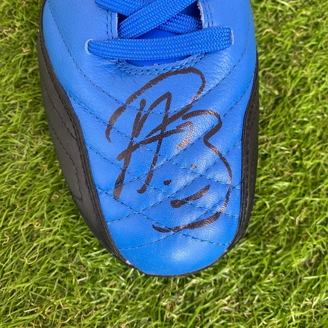 cover of the auction item