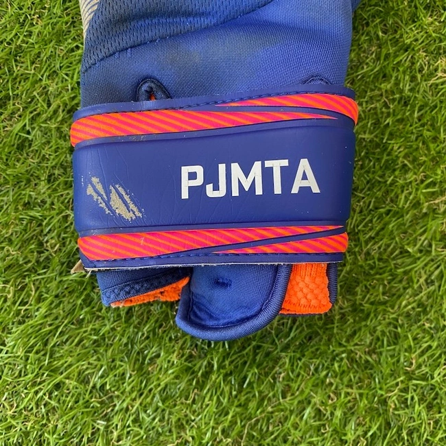 cover of the auction item