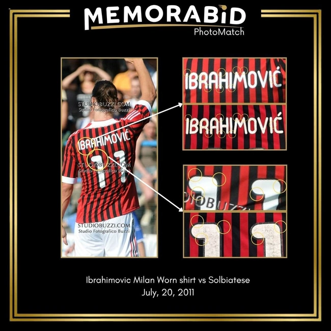 cover of the auction item