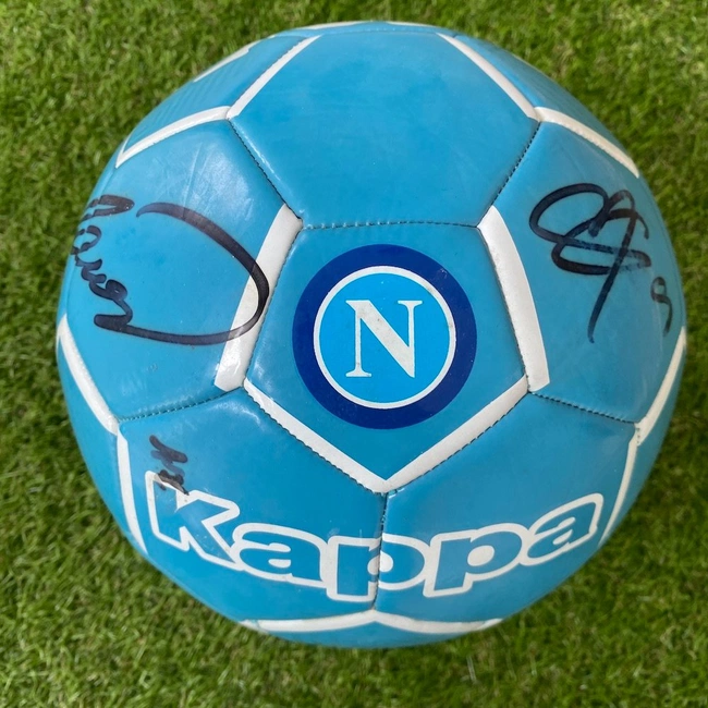 cover of the auction item