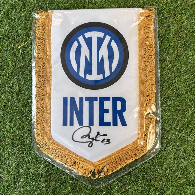 cover of the auction item