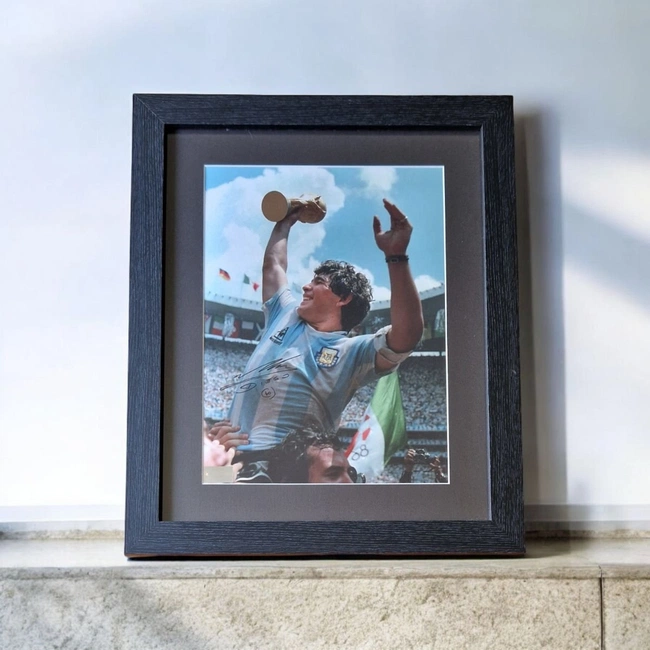 cover of the auction item