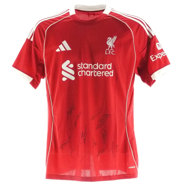 cover of the auction item