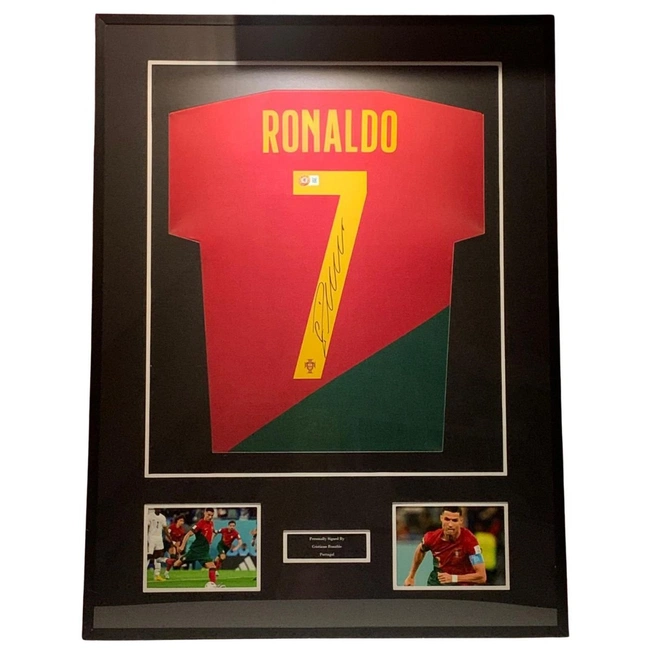 cover of the auction item