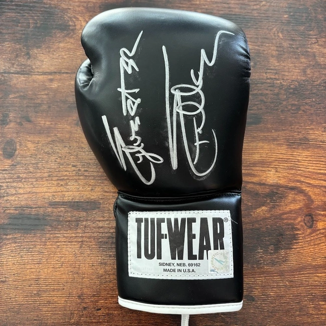 cover of the auction item