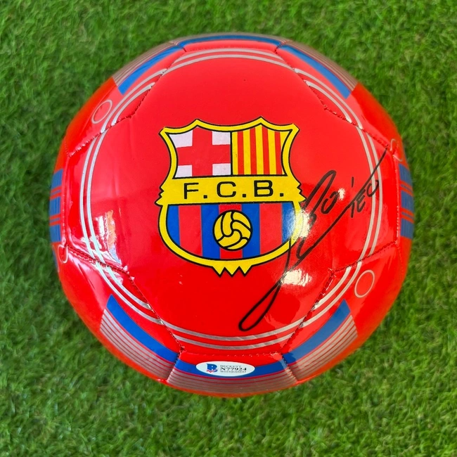 cover of the auction item
