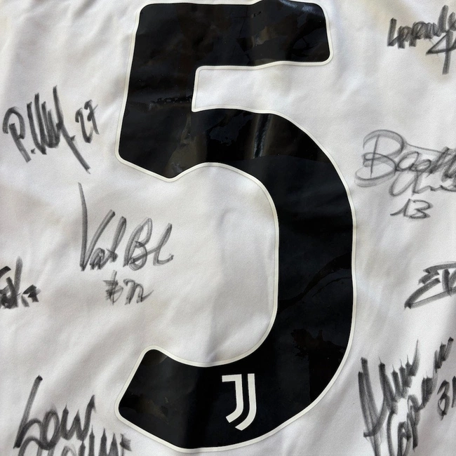 cover of the auction item