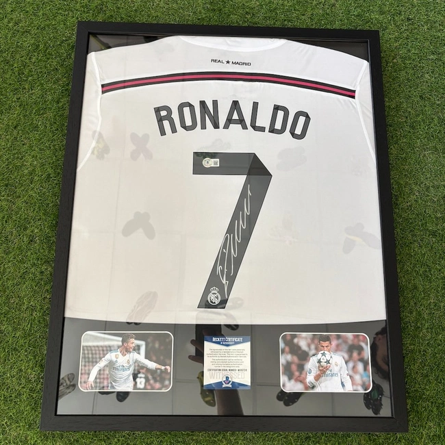 cover of the auction item