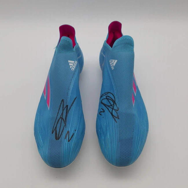 cover image of the auction item