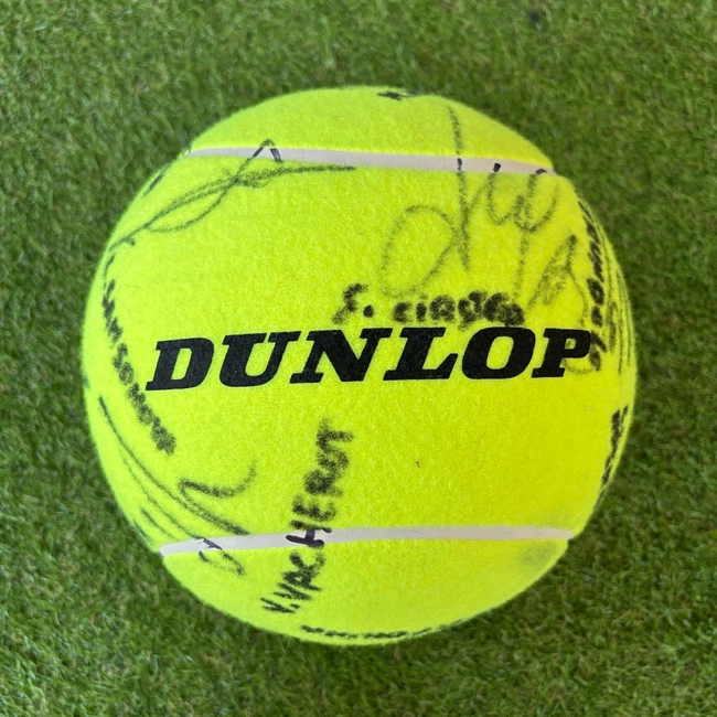 cover of the auction item