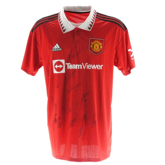 cover of the auction item