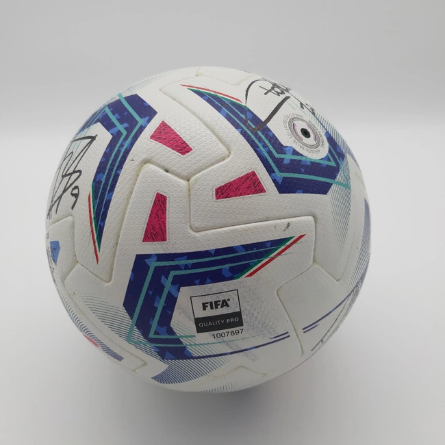 cover image of the auction item