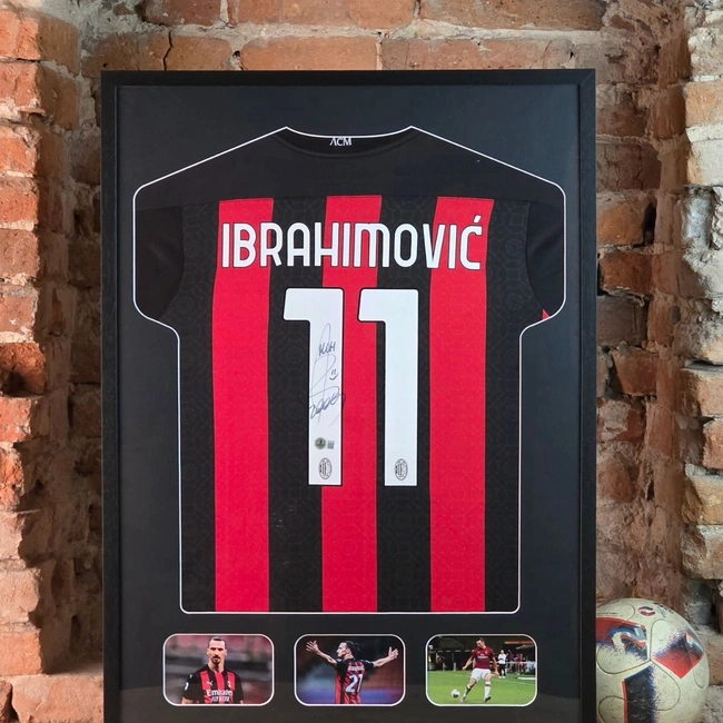 cover of the auction item