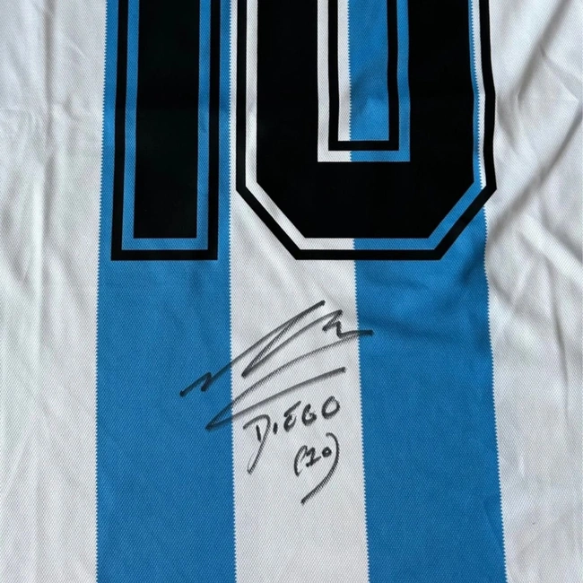 cover of the auction item
