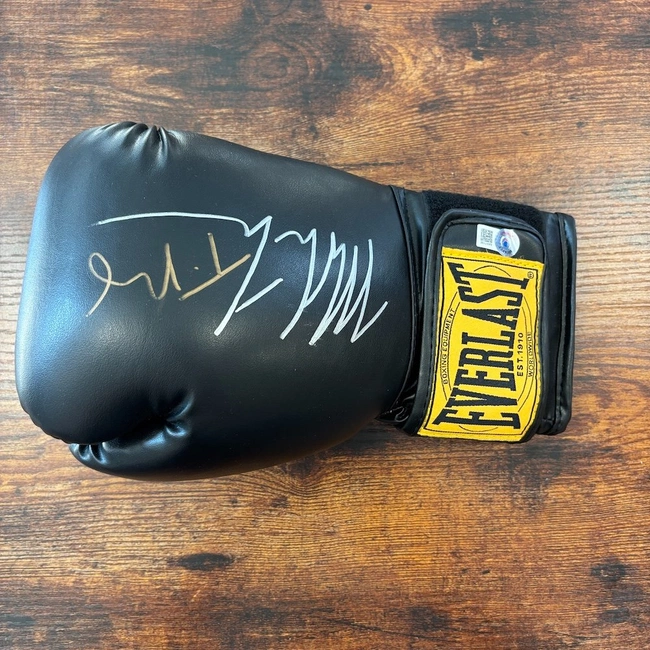 cover of the auction item