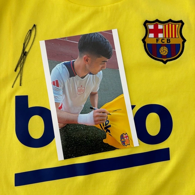 cover of the auction item