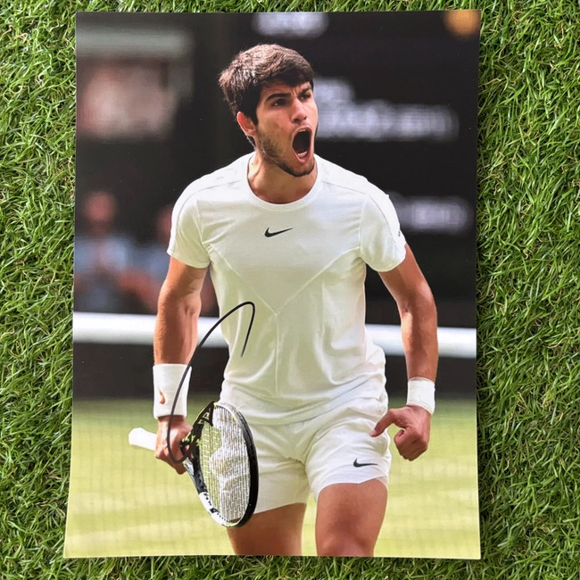 cover of the auction item
