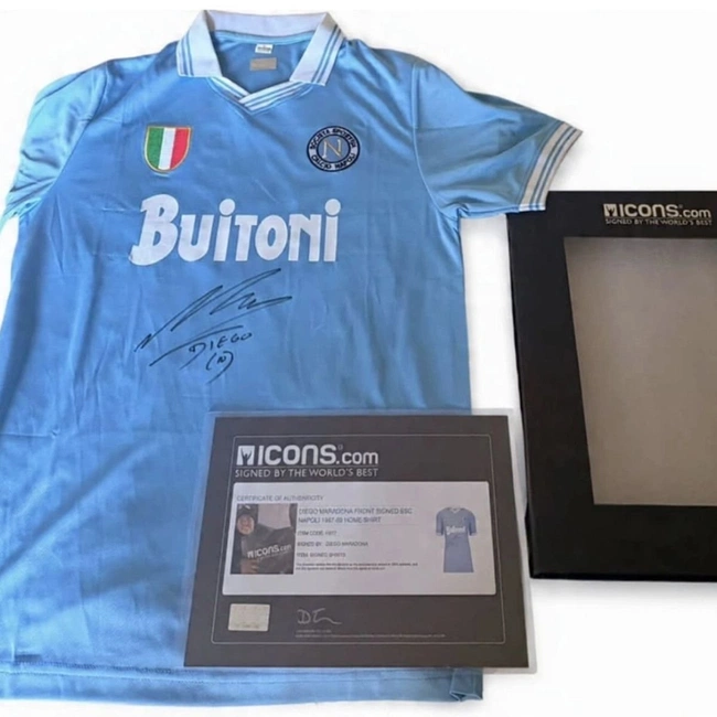 cover of the auction item