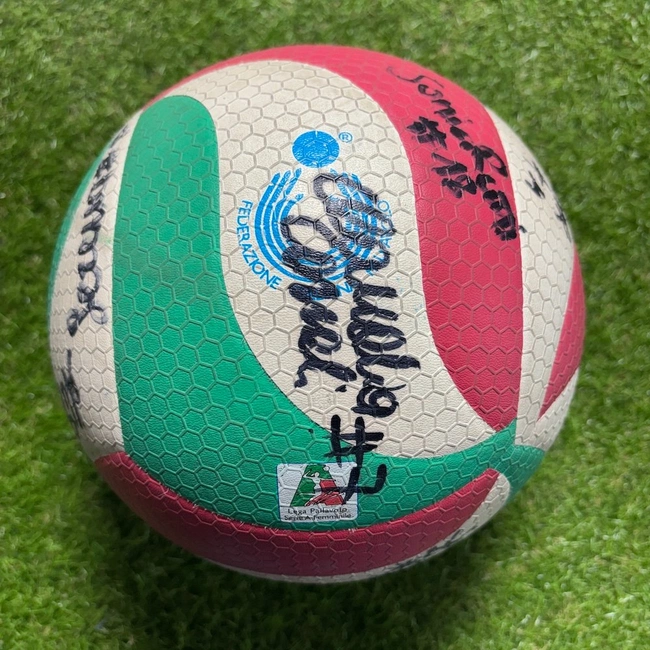 cover of the auction item
