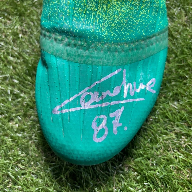 cover of the auction item