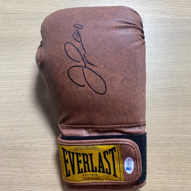 cover of the auction item