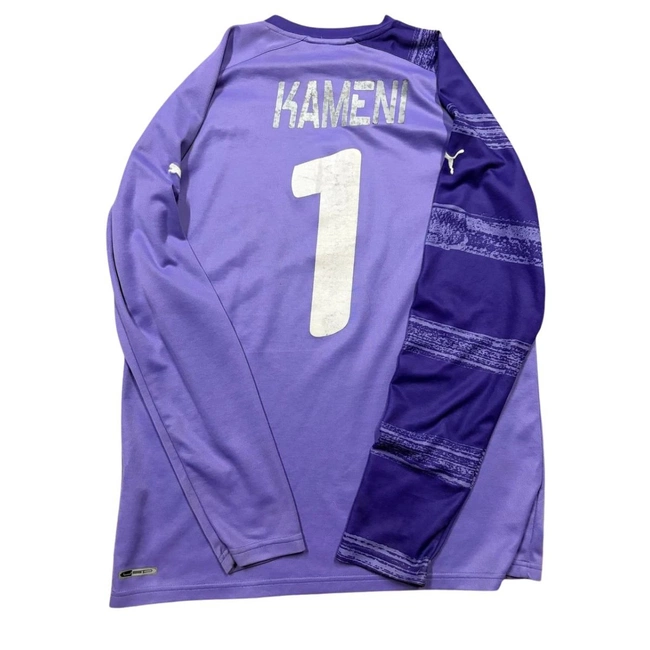 cover of the auction item