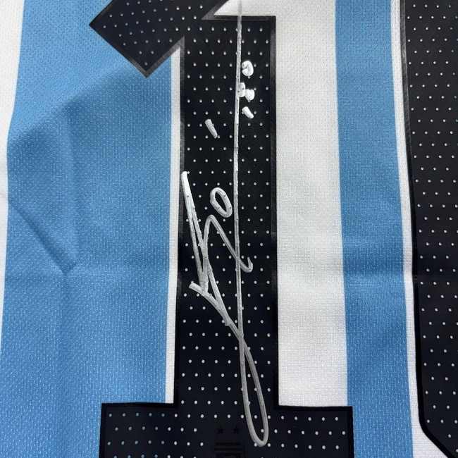 cover of the auction item