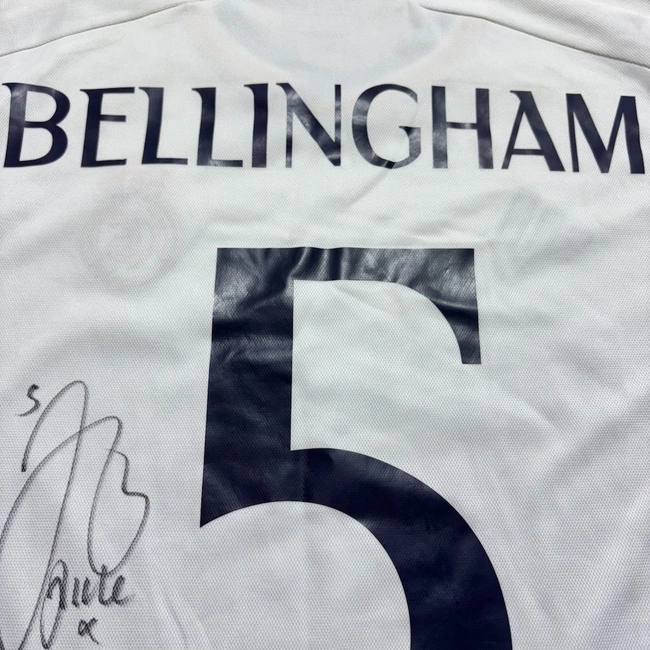 cover of the auction item