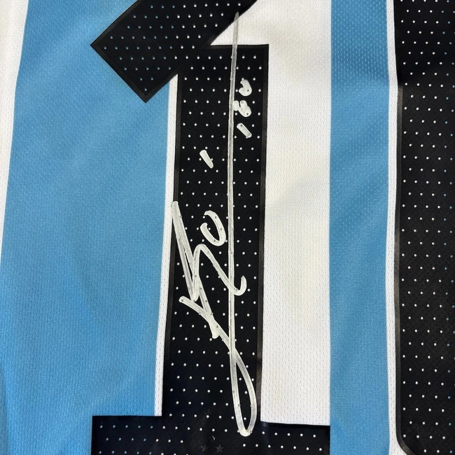 cover of the auction item