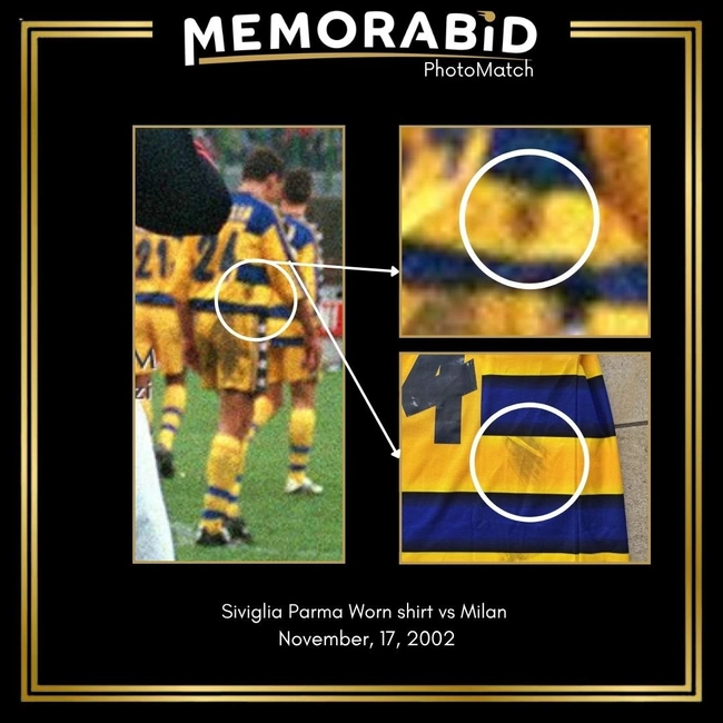 cover of the auction item