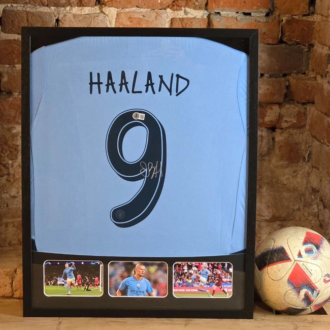 cover of the auction item