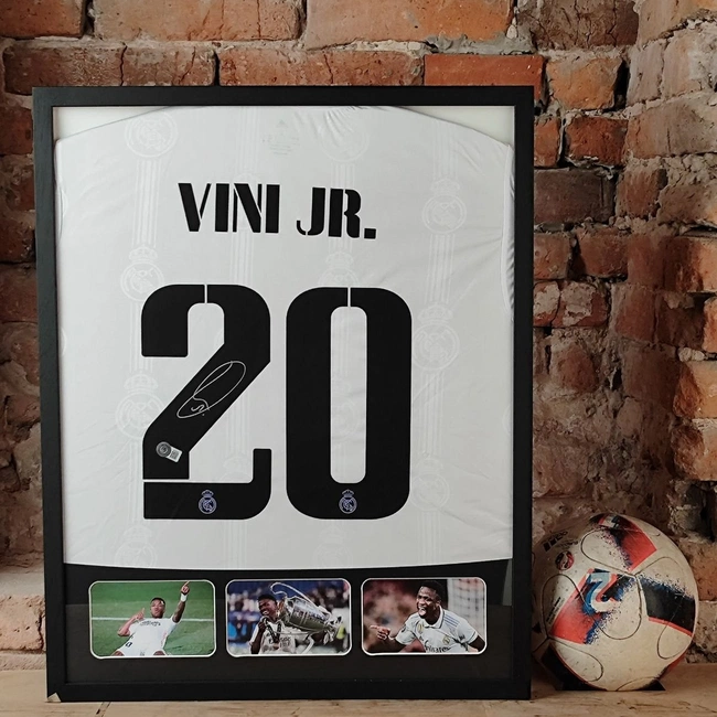 cover of the auction item