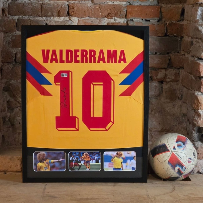 cover of the auction item