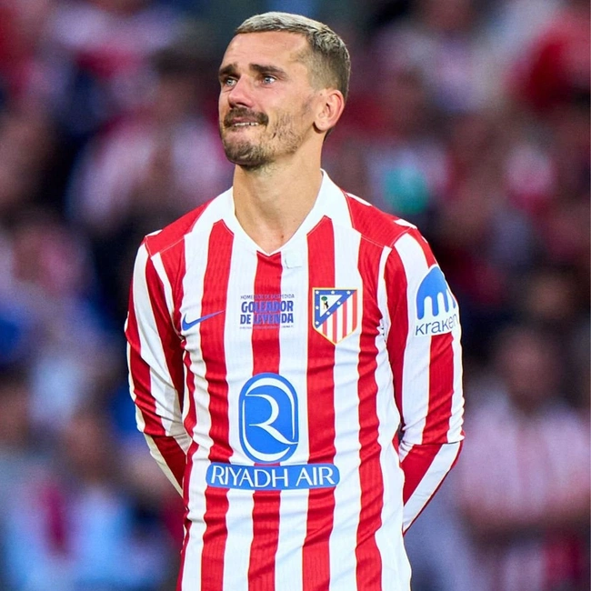 cover of the auction item