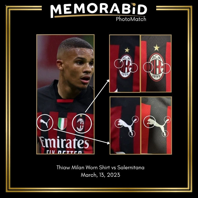 cover of the auction item