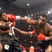 cover image of the auction item